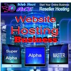 Super Alpha Reseller Web Hosting Whmcs Hostbill Wordpress Themes Plugins Digital