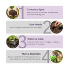 50 Red Maple Tree Seeds     Hardy Ornamental Tree For Home Garden Planting