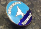I Helped Save The Whale Florida Jaycees Vintage Pin Badge