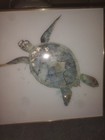 Framed Sea Turtle Print Wall Art Modern Blue Gold Green Medium Decorative
