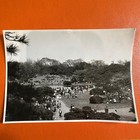 Bronx Park New York City 1955 Original Vintage Photo Photograph Old Authentic