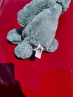 Jellycat Bashful Forest Bunny Medium Plush Toy  missing One Ear 