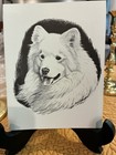 Vintage Earl Sherwan Samoyed Blank Notecards Set Of 10 With Envelopes