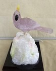 Amethyst Cockatoo On Tourmaline In Quartz  5 1 2   -peter Muller