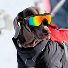 Fashion Pet Dog Doggles Goggles Uv Sunglasses Sun Glasses Eye Wear Protection