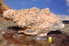 Large Pink Baryte Barite Barytes With Rare Sparkling Chalcopyrite Crystals 1194g