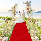 Red Carpet Runner For Party Wedding Aisle Decorations 4ftx15ft Aisle Runners    