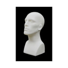 Adult Male Plastic 16 Inch White Mannequin Head Display  2 Pack 