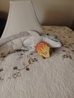 Folkmanis Dolphin Puppet  Discontinued 2021  Still With Tags