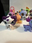 Lps Littlest Pet Shop Lot Of  14   1 Accessory