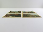 4 Vintage Arizona Linen Postcards 1930s-40s Unused Saguaro Cactus Sedona Jerome 