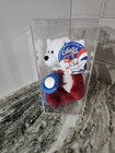 Ny Coin Bear - Collectible - With Display Case