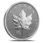  1  2016 Canada  5 1oz Silver Maple Leaf   Grizzly Bear Privy   Rev Proof Coin