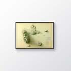 Guadeloupe Map  Guadeloupe 2d Relief Map  Guadeloupe Vintage Map - 2d Flat