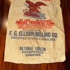 Old Antique Vtg 1930s Pretty Girl Golden Beauty Flour Sack Bag Altenburg Mo Nice