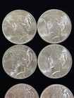 1 Roll 1923-p Bu Peace Silver Dollars - 90  Silver -  10 Fv -  a117 