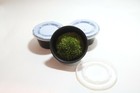 Leocobryum Gluacum   Pincushion Moss  Freshwater Aquarium Plant