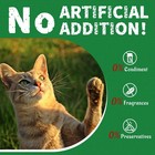 13 4 Oz Cat Grass Treats Natural Salmon Flavor Healthy Cat Snacks Training Biscu