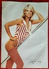 Vintage 1984 Cathy Lee Crosby Workout Poster 28  X20  Nos