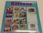 Kittens 2018 Calendar 12 Month 12  X 12  Cats Feline Kitty Kitties