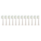 12-pack Philips Sonicare Diamondclean Standard Brush Heads   White   W o Box