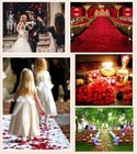 Neo Loons 1000 Pcs Artificial Silk Ivory   Cream Rose Petals Wedding Decoration