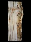 Xxl Insanely Curly Ambrosia Maple  Burl Wood Slab Craft turning Wood Epoxy Wood 