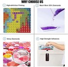 Diy 5d Diamond Painting Kits For Adults  Full Drill Cactus Garden Diamond Art Pa