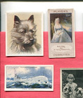 11 Different Mixed English Cigarette Collector Vintage Tobacco Card Lot