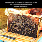20 40 60  black Small Bee Hive Beetle Blaster Beehive Beetle Trap Beekeeping Tool