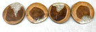 Sheik Mcm Wood Branch Drink Coasters W Acrylic Resin Mid Century Modern Vintage