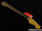 Fender Player Ii Stratocaster Strat Series Neck  tuners Modern C  9 5   Rosewood
