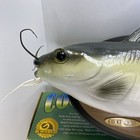 Gemmy Cool Catfish Animated Singing Talking Catfish Read Description 