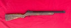 Crosman 120 Air Rifle