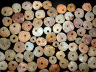  102  Select Sahara Neolithic Quartz Beads  9 - 18mm  Ancient African Artifacts
