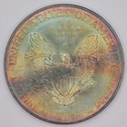 1995  1 American Silver Eagle Uncirculated - Lovely Dual Sided Toning  4g 