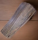 Petrified Fossilized Wood Rough Natural 9 Oz