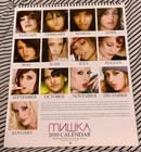 Miska Mnwka 2010 Calendar By Ellen Stagg  Rare Asa Akira Joanna Angel   More