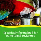 3-d Pet Products Premium Parrot Bird Food Seeds  With Probiotics  8 Lb  Bag  Dry