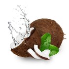 100  Pure   Organic Coconut Water Powder   Dairy Free   Vegan