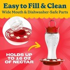 Pennington Glass Hummingbird Feeder  16 Oz Nectar Capacity