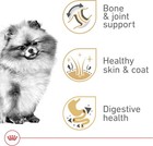 Royal Canin Breed Health Nutrition Pomeranian Dry Dog Food    2 5 Lb Bag
