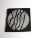 Microscope Photo Fungus On Leaf Magic Lantern Slide C1890 Old Victorian Antique