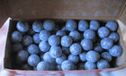 Cast Lead Round Balls  490 Diameter 177 Grains 100 Count