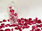 3 5oz Natural Dried Red Rose Petals For Wedding Confetti Bath Potpourri