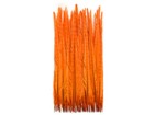 50 Feathers 18-22  Orange Long Ringneck Pheasant Tail Wholesale Halloween Dyed