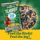 Wild Bird Food And Seed Mix For Wild Birds 40 Pound Bulk Birdfeed