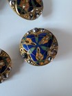 Set Of Five Antique French Cloisonne Reticulated Brass Buttons