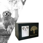 Cremation Urn For Dogs Cat Ashes Keepsake Box With Photo Frame Wooden Memorial