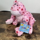 Nwt Ganz Webkinz Love Frog Hm144 Unused Code